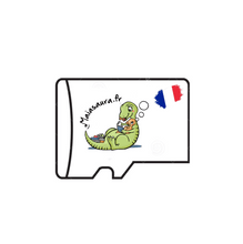 Charger l'image dans la galerie, Carte Maiasaura.fr