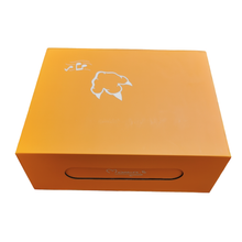 Charger l&#39;image dans la galerie, Coffret Cadeau Maiasaura